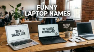 Funny Laptop Names